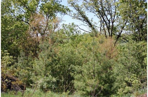 LOT 1 Davis St, Verona, WI 53593