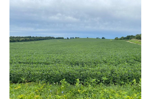 97+/- AC Jargo Rd, Deerfield, WI 53531