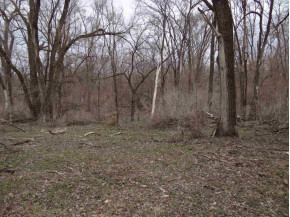 19.59+/- ACRES Dutch Hollow Rd