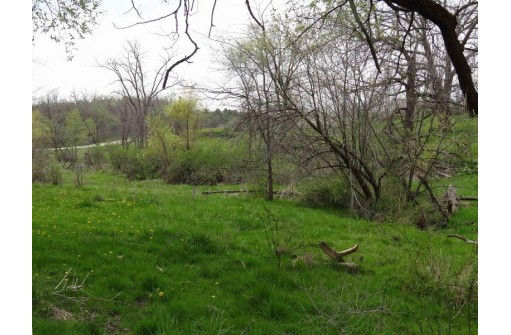 19.59+/- ACRES Dutch Hollow Rd, Potosi, WI 53820