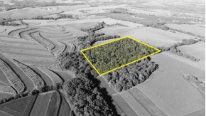 22 AC Lewis Rd