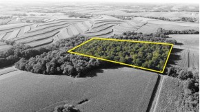 22 AC Lewis Rd