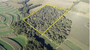 22 AC Lewis Rd