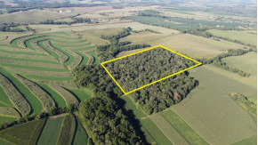 22 AC Lewis Rd