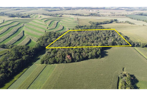 22 AC Lewis Rd, Argyle, WI 53522