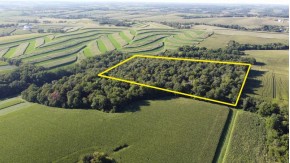 22 AC Lewis Rd