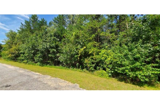 1.72A Bass Lake Ln, Lyndon Station, WI 53944