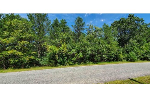 1.72A Bass Lake Ln, Lyndon Station, WI 53944