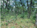 6 AC (+/-) 11th Dr, Grand Marsh, WI 53936