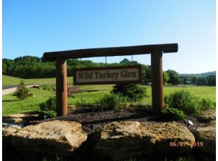 L3 Wild Turkey Ln Richland Center, WI 53581