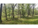 40.73 AC Cottonville Ln, Coloma, WI 54930