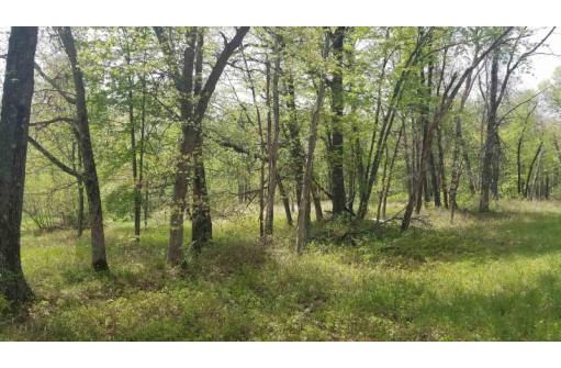 40.73 AC Cottonville Ln, Coloma, WI 54930