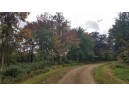 40.73 AC Cottonville Ln, Coloma, WI 54930