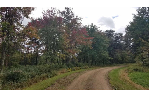 40.73 AC Cottonville Ln, Coloma, WI 54930