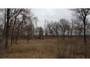 40.73 AC Cottonville Ln, Coloma, WI 54930