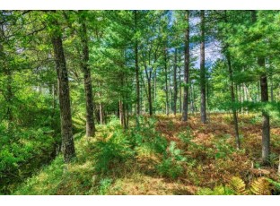 40 ACRES County Road H Camp Douglas, WI 54618