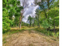 40 ACRES County Road H, Camp Douglas, WI 54618