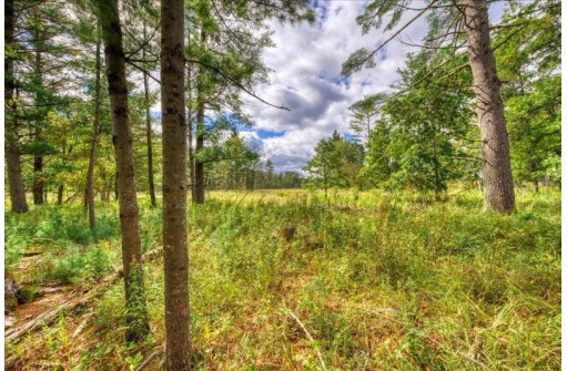 40 ACRES County Road H, Camp Douglas, WI 54618