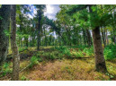 40 ACRES County Road H, Camp Douglas, WI 54618