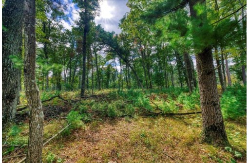 40 ACRES County Road H, Camp Douglas, WI 54618