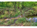 40 ACRES County Road H, Camp Douglas, WI 54618