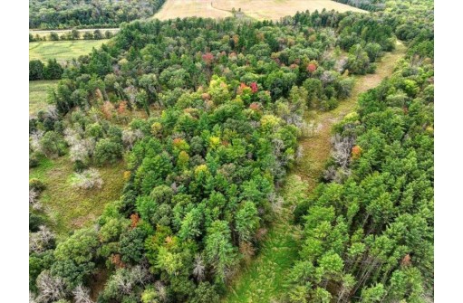 40 ACRES County Road H, Camp Douglas, WI 54618