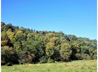 21.62 Acres Hudson Hollow Lancaster, WI 53813