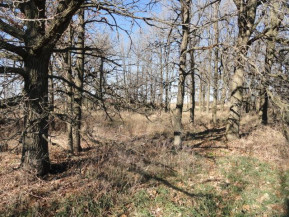 10 ACRES County Road Cw