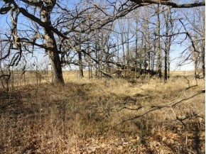 10 ACRES County Road Cw