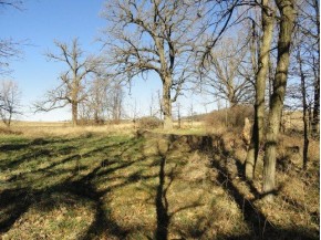 10 ACRES County Road Cw