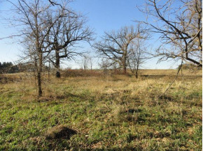 10 ACRES County Road Cw