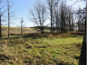 10 ACRES County Road Cw