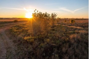 1929 ACRES State Line Rd