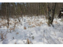 Mountain Shadow Ln, Wautoma, WI 54982