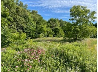 12 ACRES +/- Lust Rd Mount Horeb, WI 53572