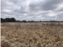 120 ACRES Cranberry Rd, Warrens, WI 54641