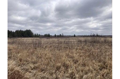 120 ACRES Cranberry Rd, Warrens, WI 54641