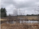 120 ACRES Cranberry Rd, Warrens, WI 54641