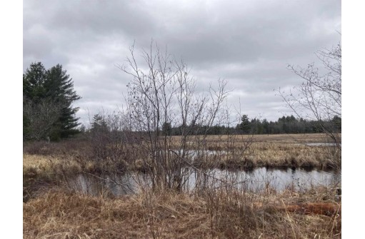 120 ACRES Cranberry Rd, Warrens, WI 54641