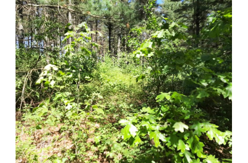 10 +/- ACRES Town Hall Rd, Lyndon Station, WI 53944