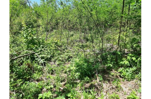 10 +/- ACRES Town Hall Rd, Lyndon Station, WI 53944