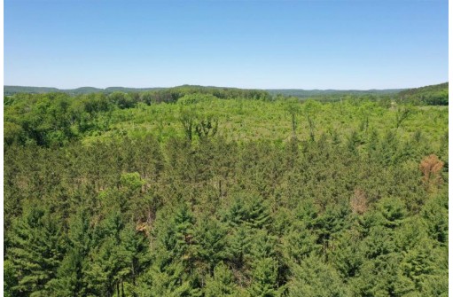 10 +/- ACRES Town Hall Rd, Lyndon Station, WI 53944