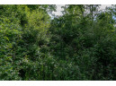 .79 ACRES Cross Trail Dr, La Valle, WI 53941