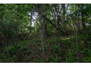 .79 ACRES Cross Trail Dr, La Valle, WI 53941