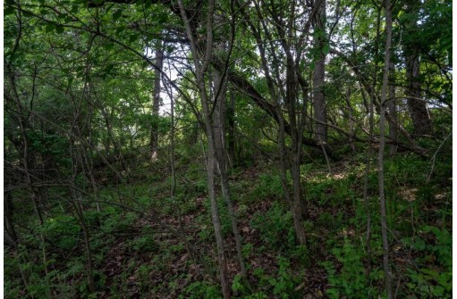 .79 ACRES Cross Trail Dr, La Valle, WI 53941