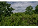 .79 ACRES Cross Trail Dr, La Valle, WI 53941