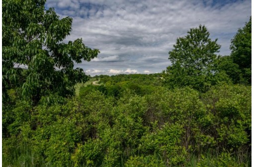 .79 ACRES Cross Trail Dr, La Valle, WI 53941