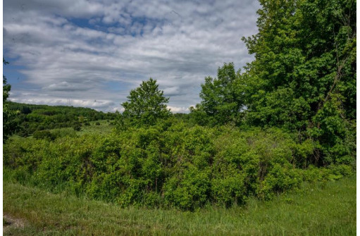 .79 ACRES Cross Trail Dr, La Valle, WI 53941