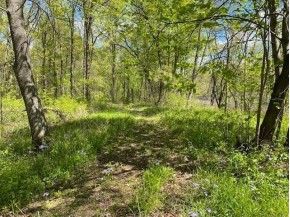 APPROX 146.5 AC County Road C