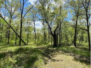 APPROX 146.5 AC County Road C